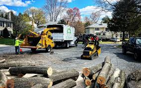 Best Commercial Tree Services  in Boonville, IN