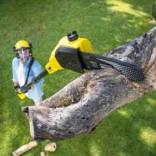 Best Artificial Turf Installation  in Boonville, IN