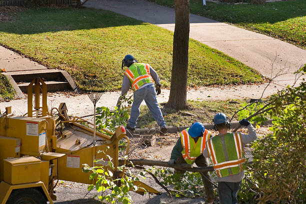  Boonville, IN Tree Services Pros